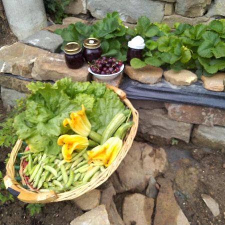 Agriturismo Allo Scoglio - Azienda Agricola 的里雅斯特 外观 照片