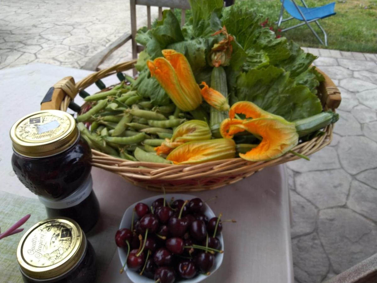 Agriturismo Allo Scoglio - Azienda Agricola 的里雅斯特 外观 照片