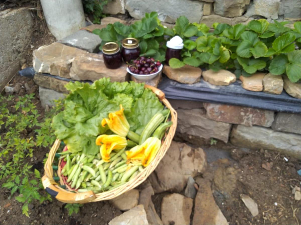 Agriturismo Allo Scoglio - Azienda Agricola 的里雅斯特 外观 照片