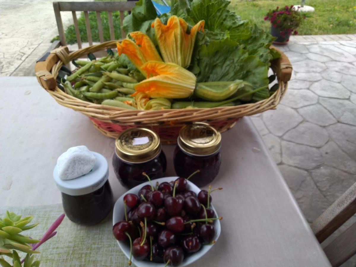 Agriturismo Allo Scoglio - Azienda Agricola 的里雅斯特 外观 照片